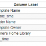 unused-templates-display-fields.png